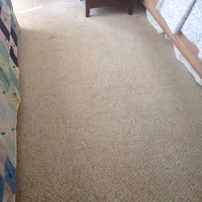 Bedroom carpet after EnviroGreen cleaning — stains fully removed