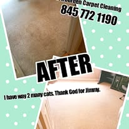 Pet-soiled carpet cleaned by EnviroGreen — customer photo from Facebook